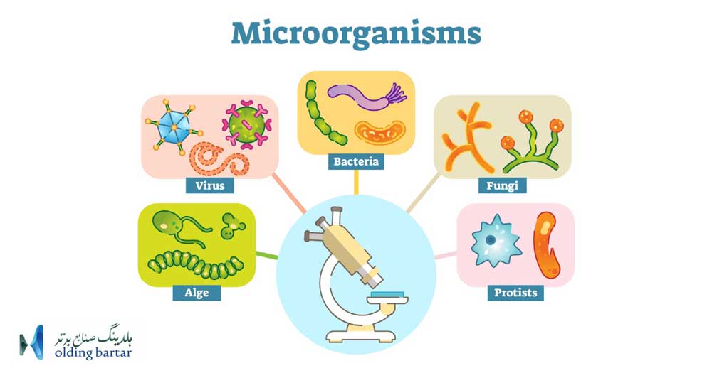 انواع میکروارگانیسم ها در تصفیه آب و فاضلاب