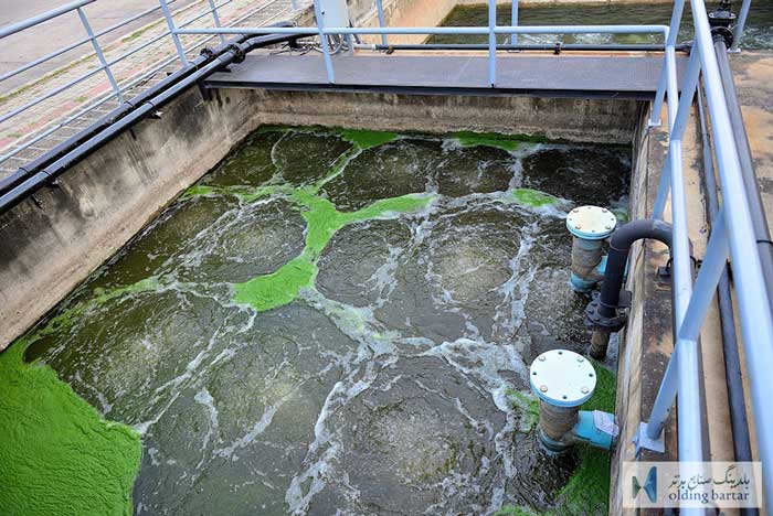 مزایای استفاده از میکروارگانیسم ها در تصفیه آب و فاضلاب