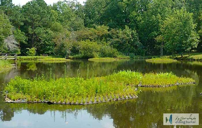 مزایای گیاه پالایی