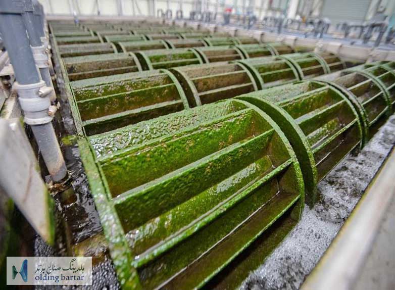 مشکلات رشد جلبک ها در تصفیه خانه ها